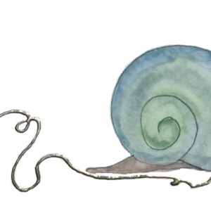 Online nascholing gehechtheidsspecialisten